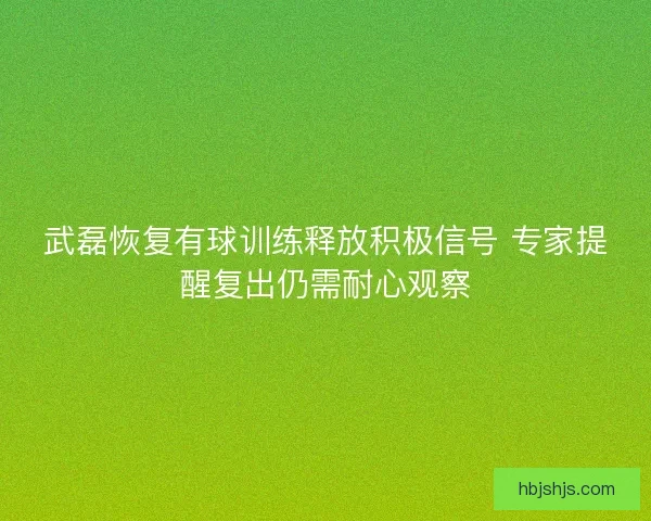 武磊恢复有球训练释放积极信号 专家提醒复出仍需耐心观察