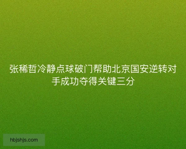 张稀哲冷静点球破门帮助北京国安逆转对手成功夺得关键三分